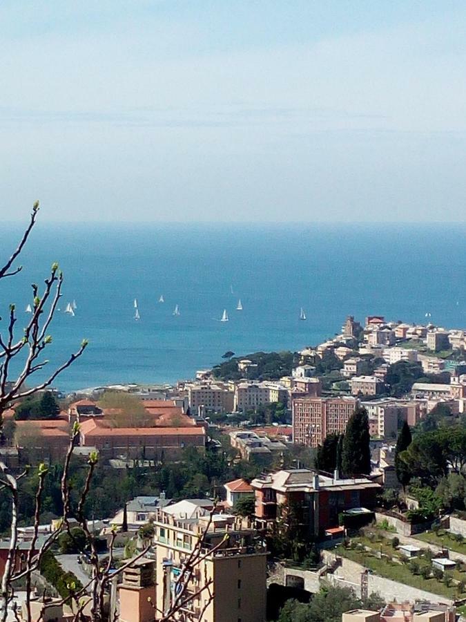 Casa Picasso