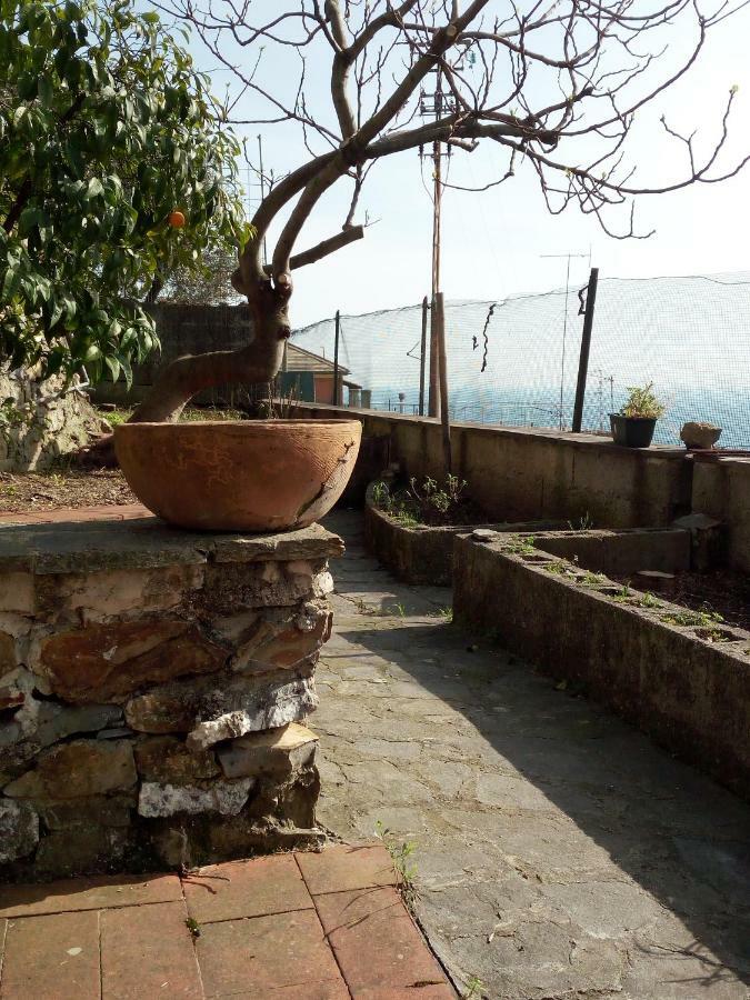 Casa Picasso Appartamento *