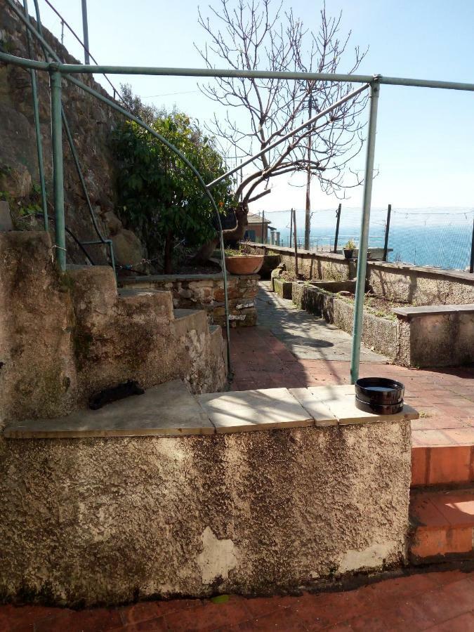 Casa Picasso Apartamento *