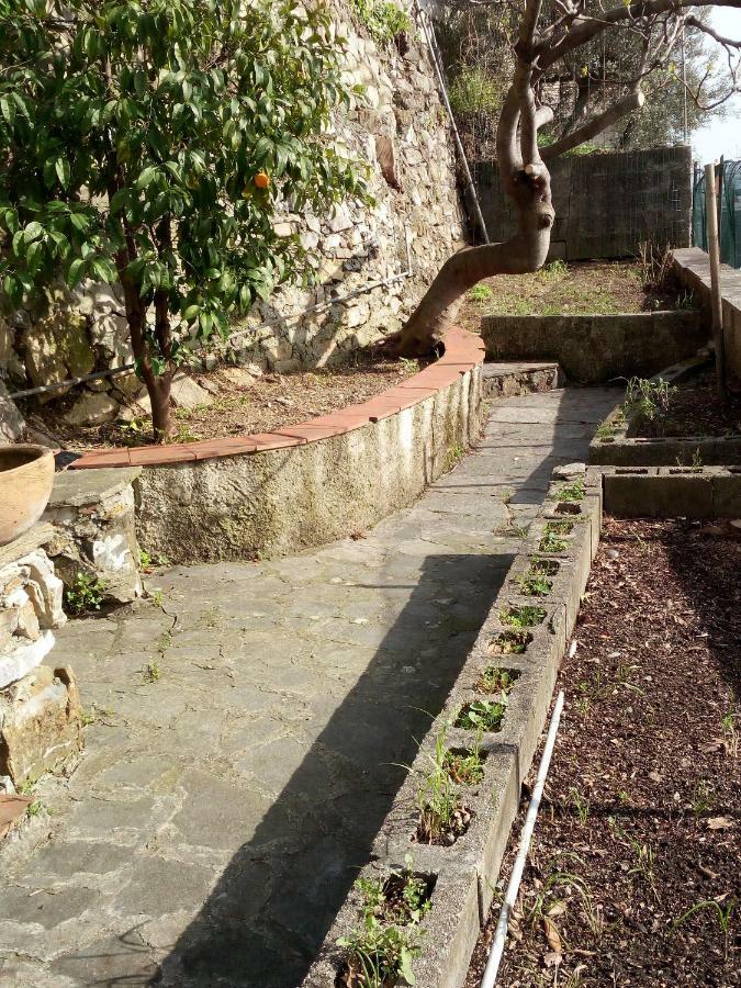 Casa Picasso * Genua