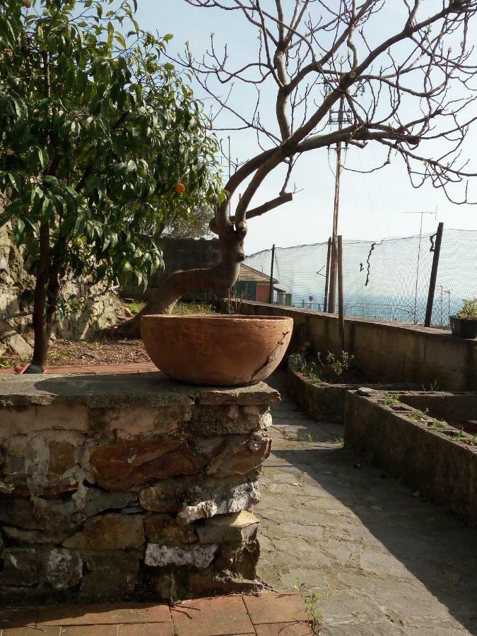 Casa Picasso * Genua